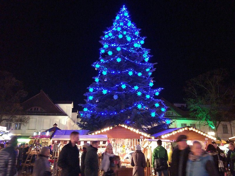 die blaue Tanne vom Weihnachtsmarkt Potsdam